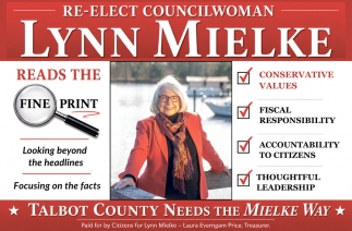 Lynn Mielke For County Council