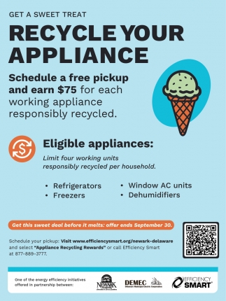 Efficiency Smart