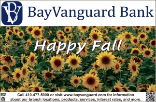 BayVanguard Bank