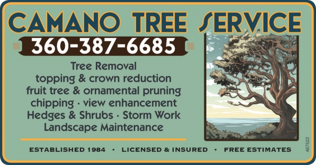 Tree Removal, Camano Tree Service