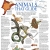 Animals that glide
