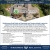 Programs & Services - Social Enrichment