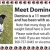 Meet Domino