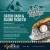 Catch Cash Score Tickets!