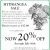Hydrangea Sale