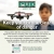Keep your drone clear of danger