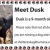 Meet Dusk