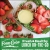 Fresh & Healthy Lunch On-The-Go