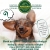 Book an HVAC Tune-Up