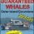 Guaranteed Whales Outer Island Excursions