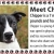 Meet Chipper