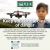 Keep your drone clear of danger