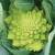 Eat Your Fractals