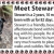 Meet Stewart