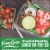 Fresh & Healthy
