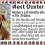 Meet Dexter