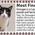 Meet Finnagan