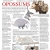 Opossums