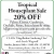 Tropical Houseplant Sale 20% OFF
