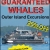 Guaranteed Whales