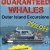 Guaranteed Whales
