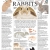 Rabbits