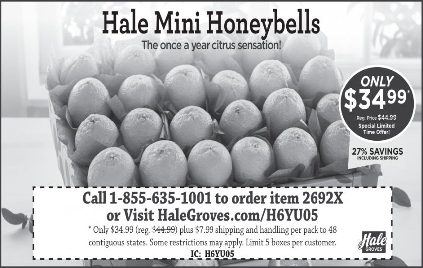 Hale Groves - Vero Beach