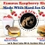 Famous Raspberry Shakes