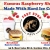 Famous Raspberry Shakes