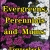 Evergreens, Perennials and Mums