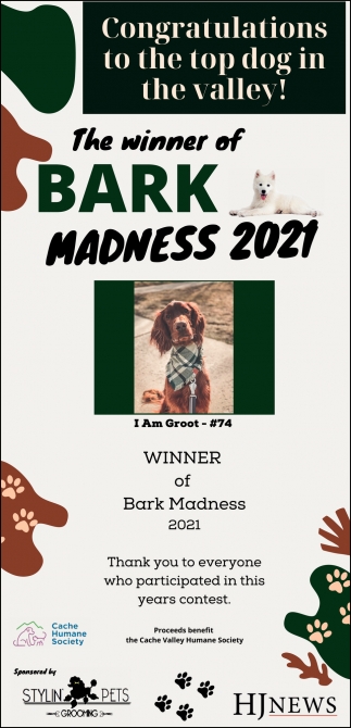 The Winner Of Bark Madness 2021