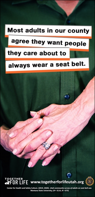 Always Wear A Seat Belt