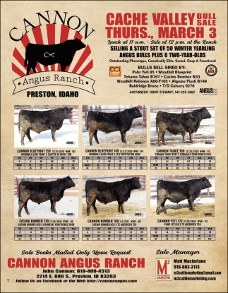 Cache Valley Bull Sale