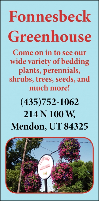 Come On In to See Our Wide Variety of Bedding Plants