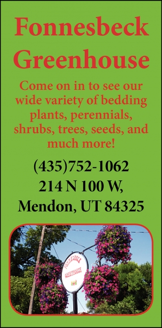 Come On in to See Our Wide Variety of Bedding Plants, Perennials, Shrubs, Trees, Seeds, and Much More!