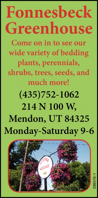 Come On In To See Our Wide Variety Of Bedding Plants
