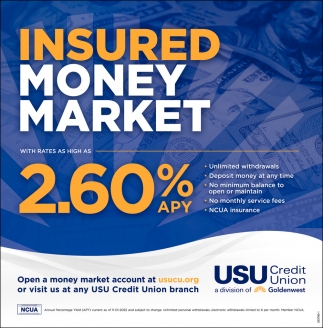 Insured Money Market