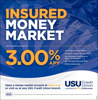 Insured Money Market