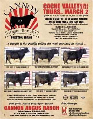Cache Valley Bull Sale