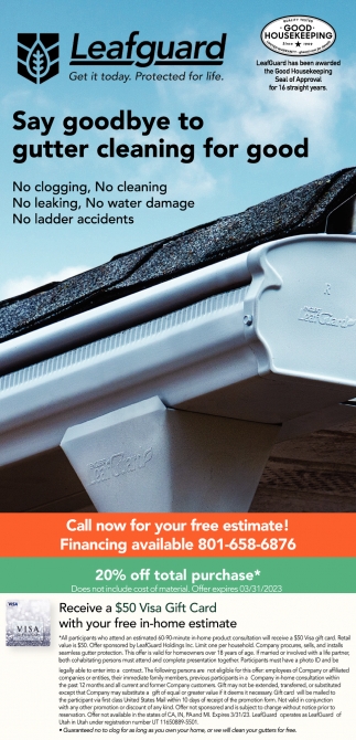 Say Goodbye To Gutter Cleaning For Good