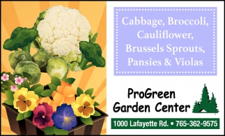 Cabbage, Broccoli, Cauliflower, Brussels Sprouts, Pansies & Violas