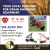 Your Local Solution for Grain Handling Equipment