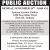 Public Auction (November 18th, 2024)