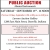 Public Auction - Musical Instruments