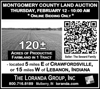The Loranda Group, Inc