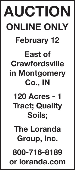 The Loranda Group, Inc