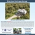 Find Your Dream Home!