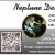 Cut Coins, Gems, Custom Jewelry