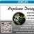 Cut Coins, Gems, Custom Jewelry