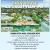 Open House Saturday 11AM-1PM